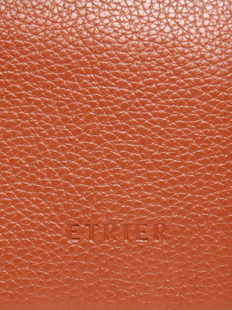 Housse Ordinateur Flandres Pc 15'' Cuir Etrier Orange flandres EFLA8835 vue secondaire 3